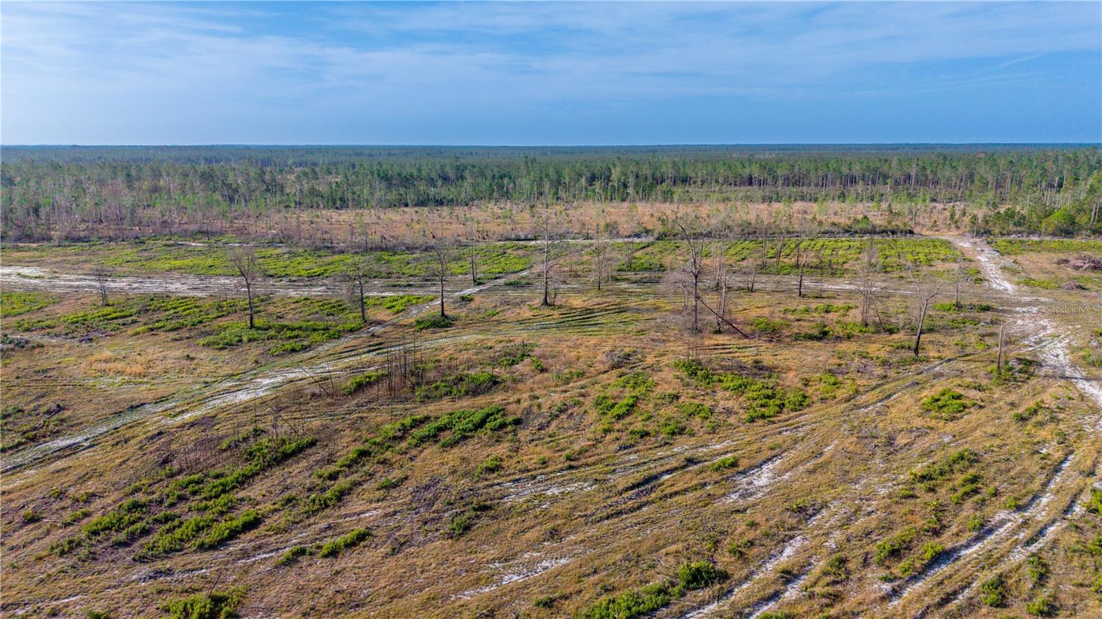 TBD NE 83RD WAY, GAINESVILLE, FL, 32609