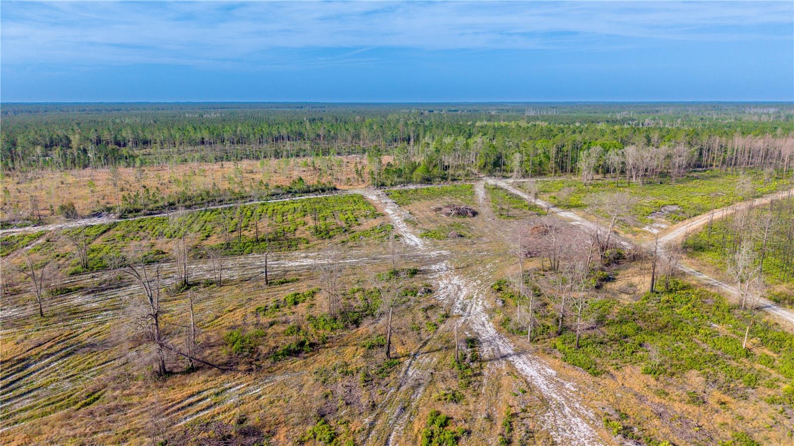 TBD NE 83RD WAY, GAINESVILLE, FL, 32609