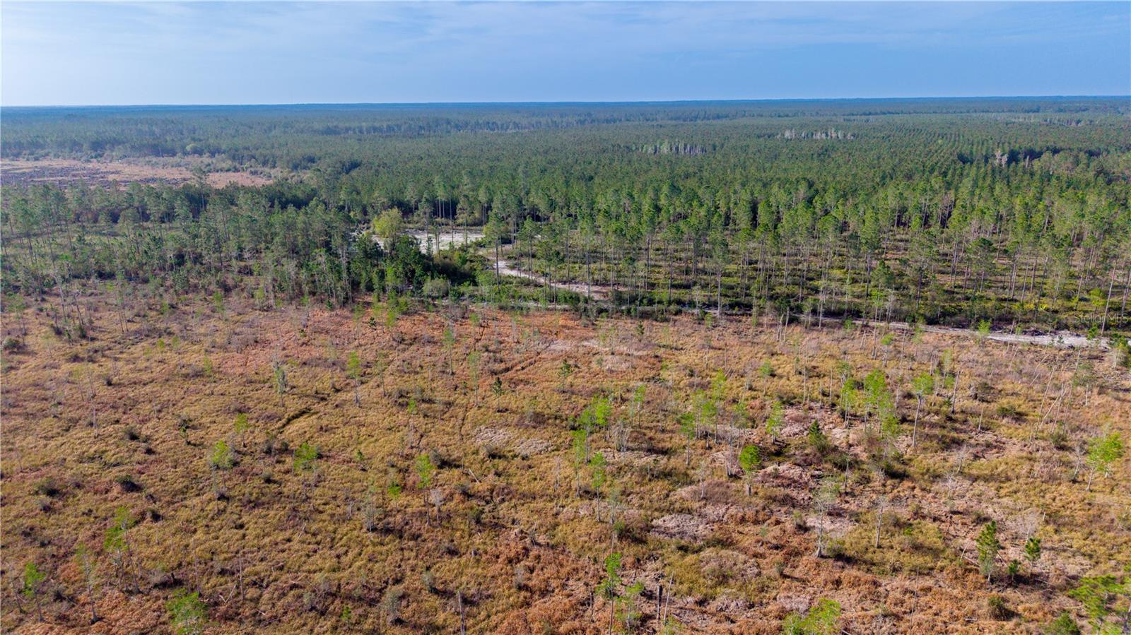 TBD NE 83RD WAY, GAINESVILLE, FL, 32609