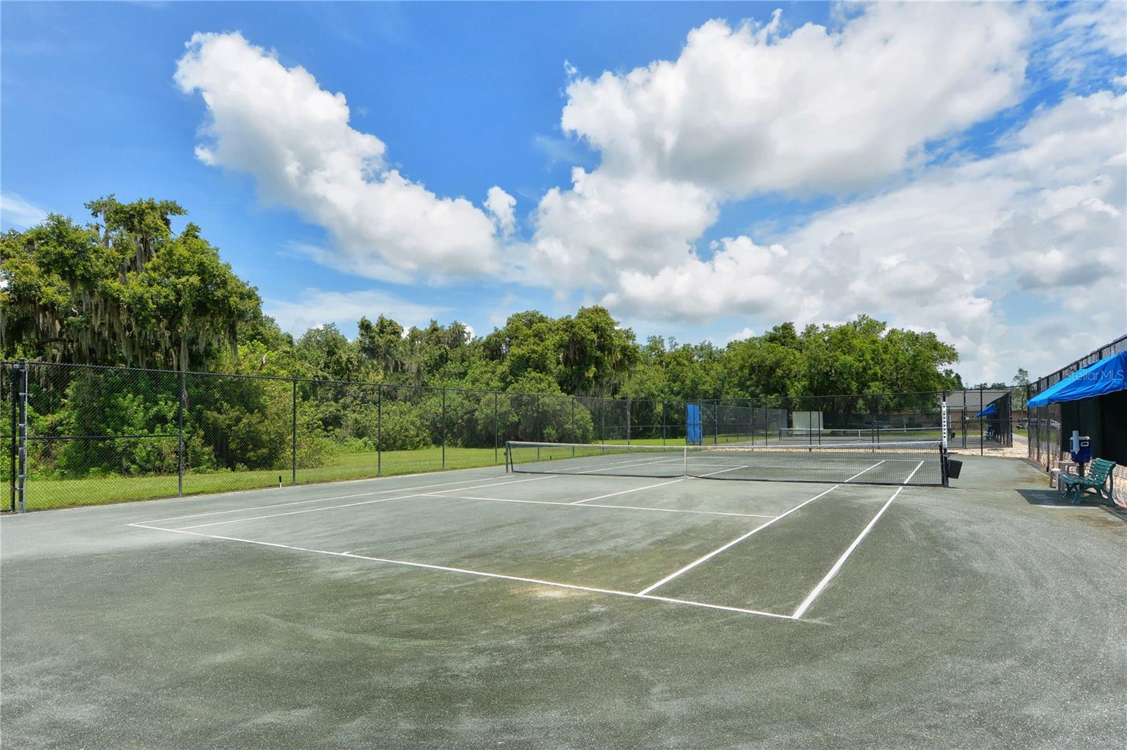 3315 WOODLAND FERN DR, PARRISH, FL, 34219