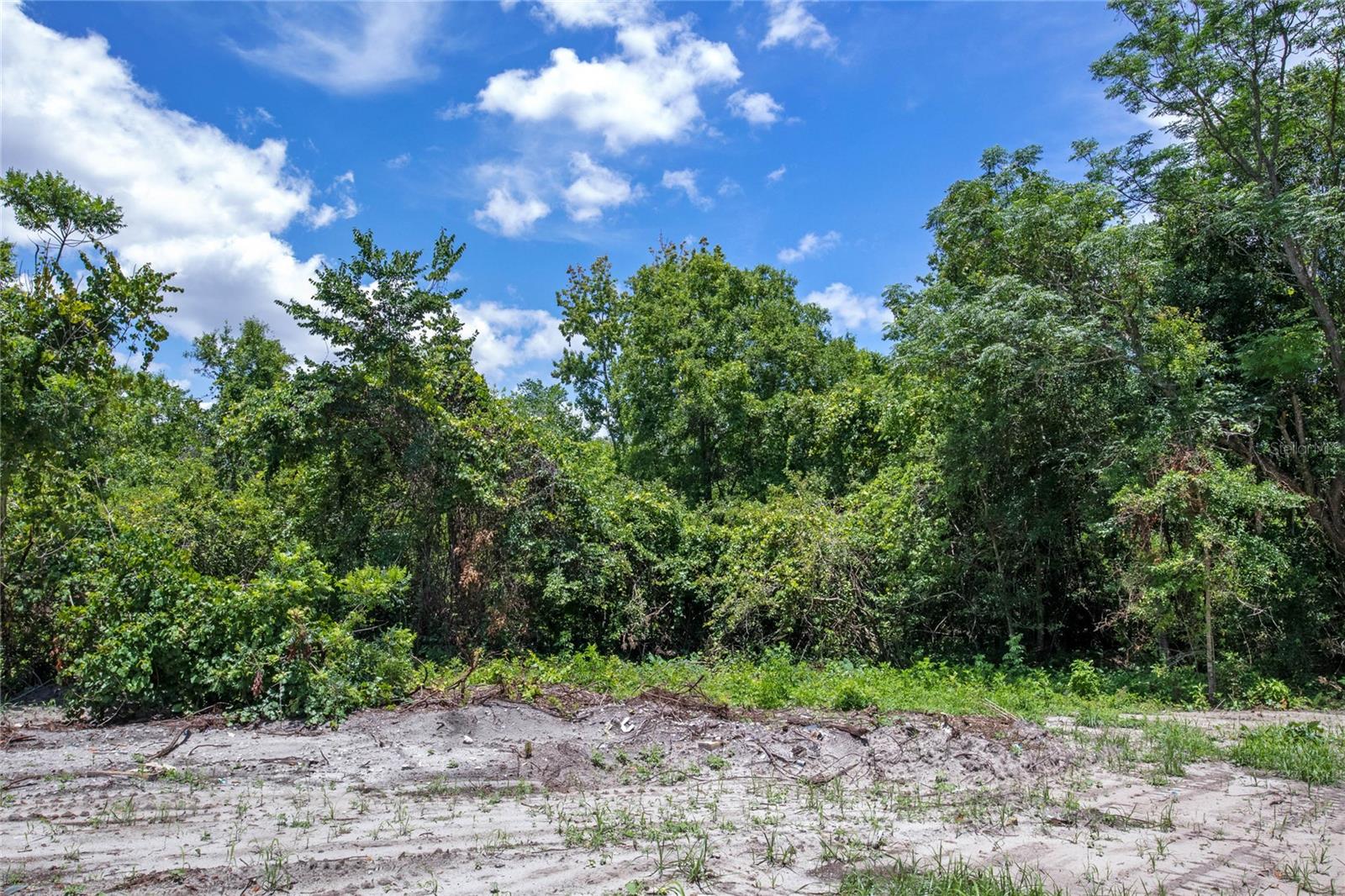 15527 TROUSDALE ST, CLERMONT, FL, 34715