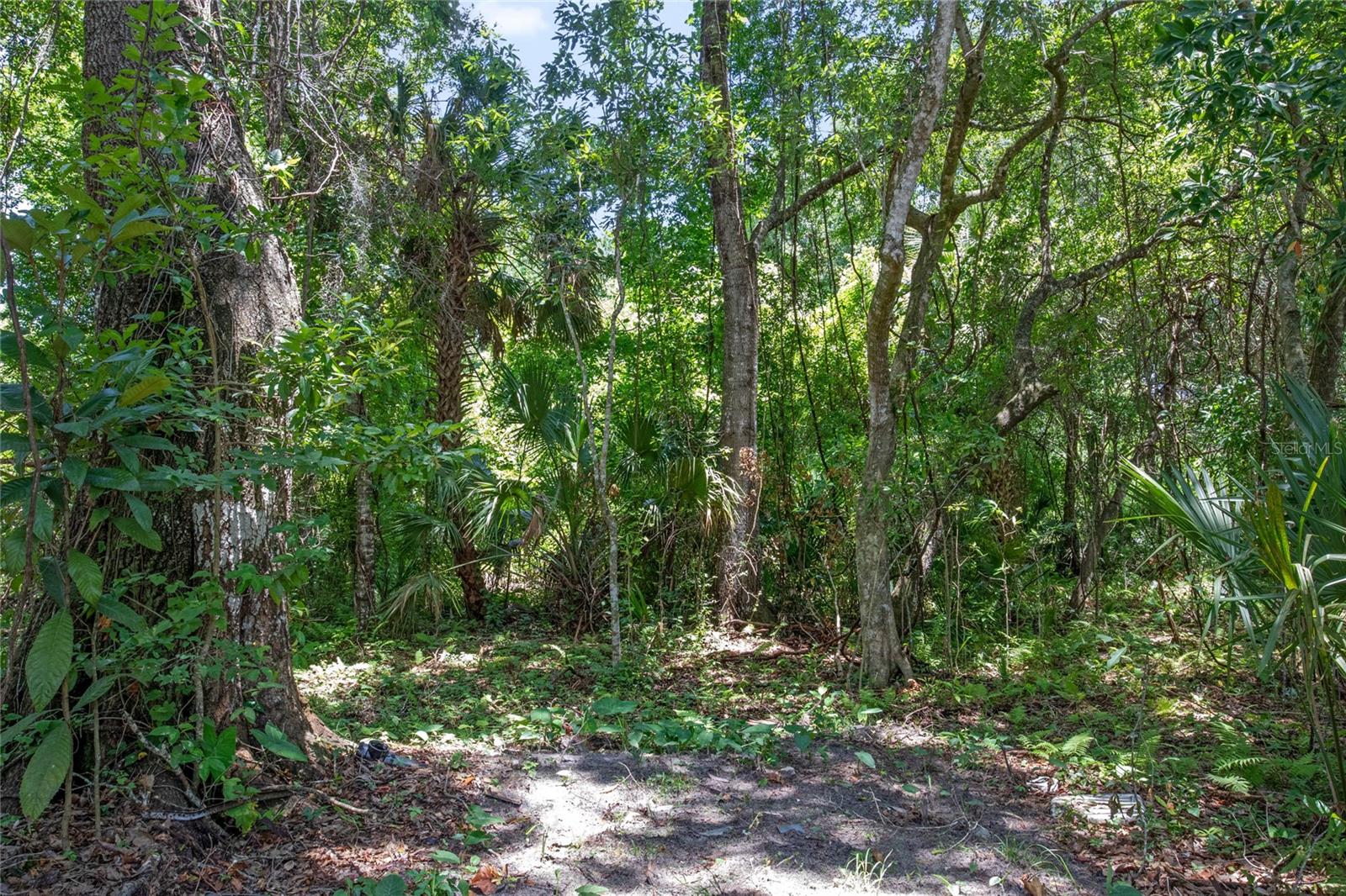 15527 TROUSDALE ST, CLERMONT, FL, 34715