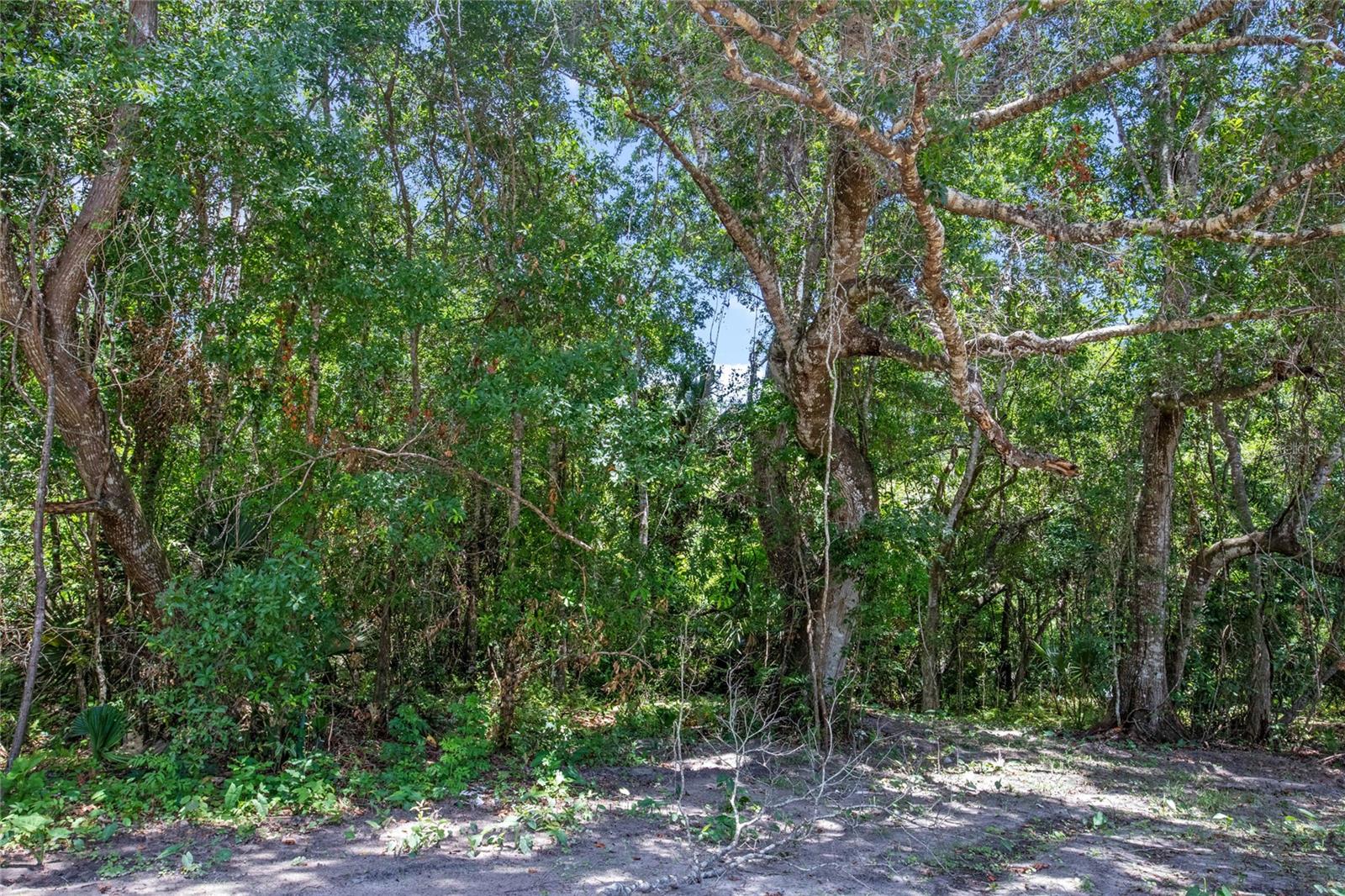 15527 TROUSDALE ST, CLERMONT, FL, 34715