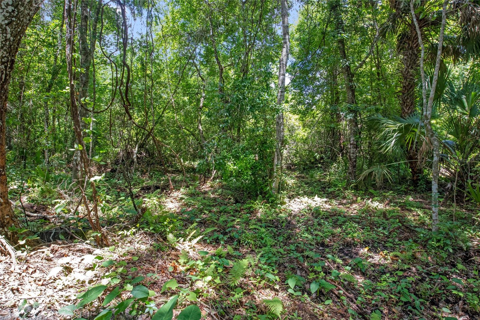 15527 TROUSDALE ST, CLERMONT, FL, 34715