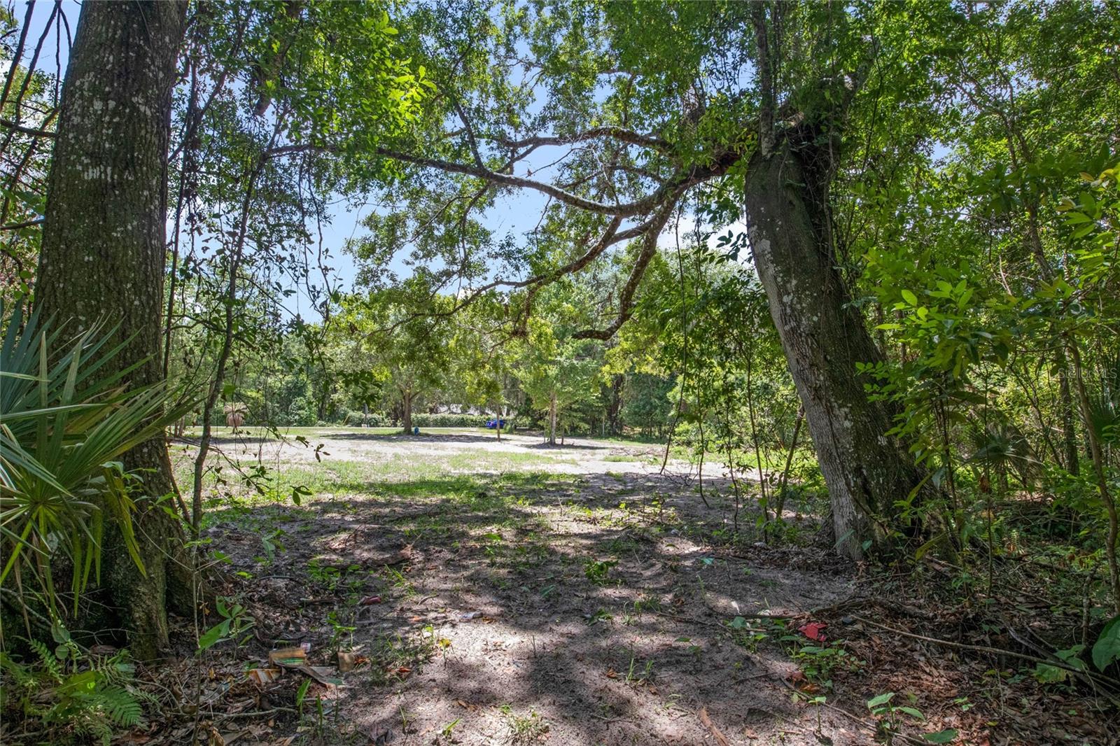 15527 TROUSDALE ST, CLERMONT, FL, 34715