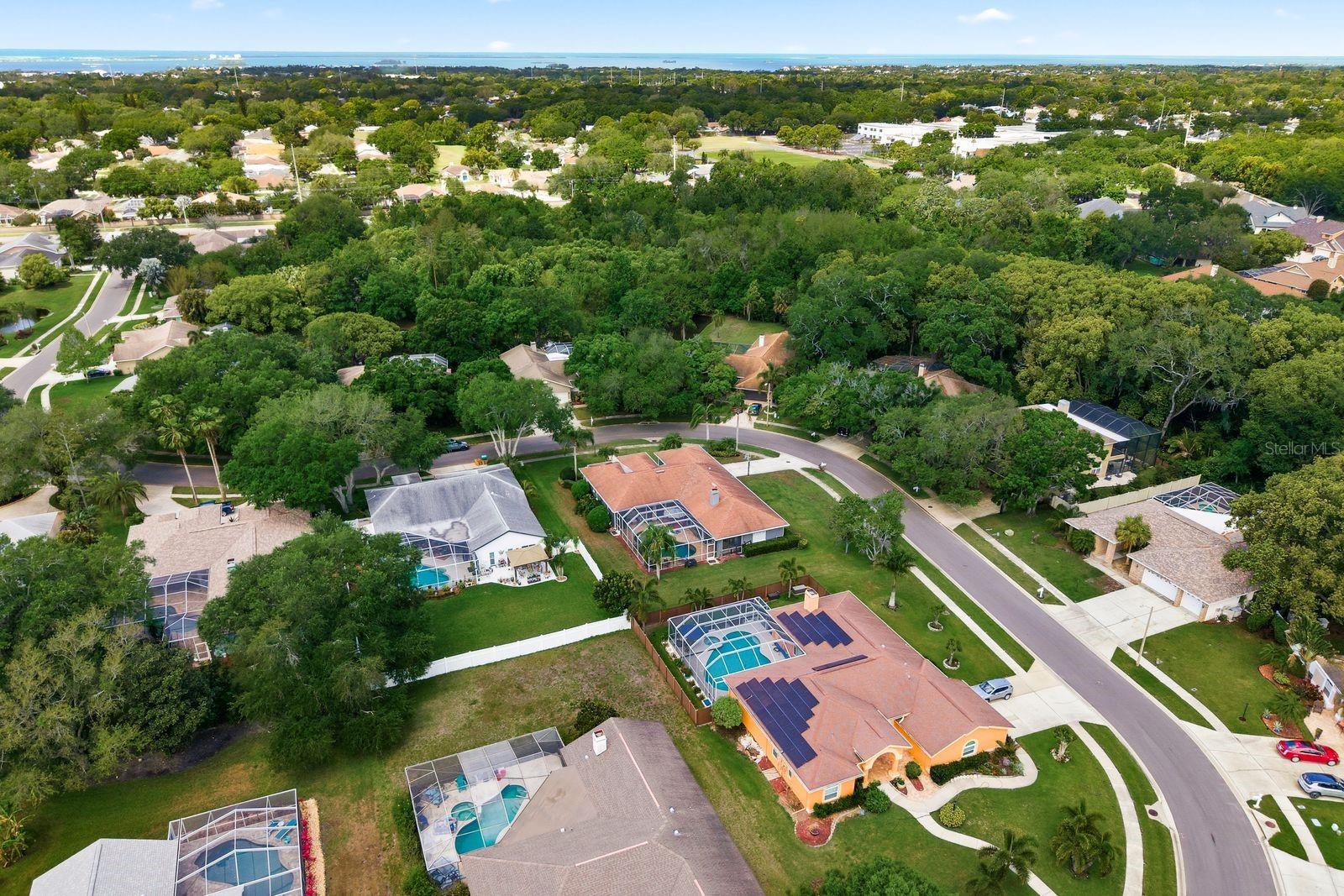 2016 SWAN LN, PALM HARBOR, FL, 34683