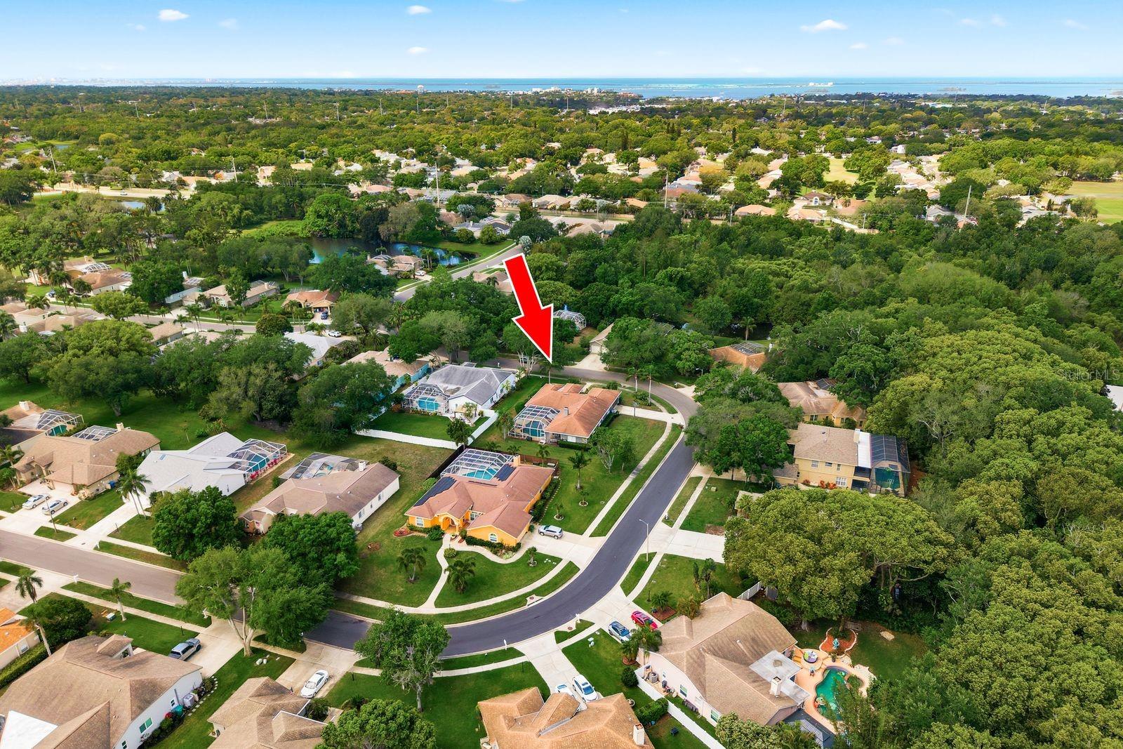 2016 SWAN LN, PALM HARBOR, FL, 34683