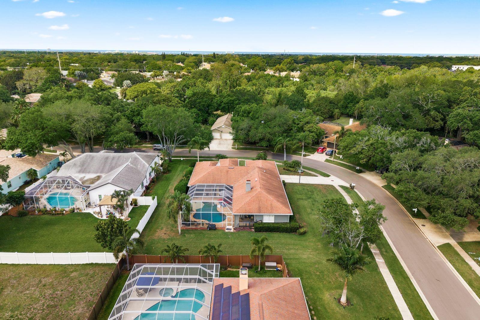 2016 SWAN LN, PALM HARBOR, FL, 34683