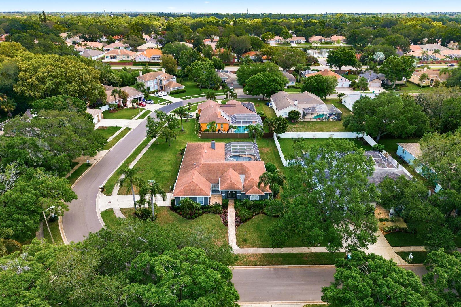 2016 SWAN LN, PALM HARBOR, FL, 34683