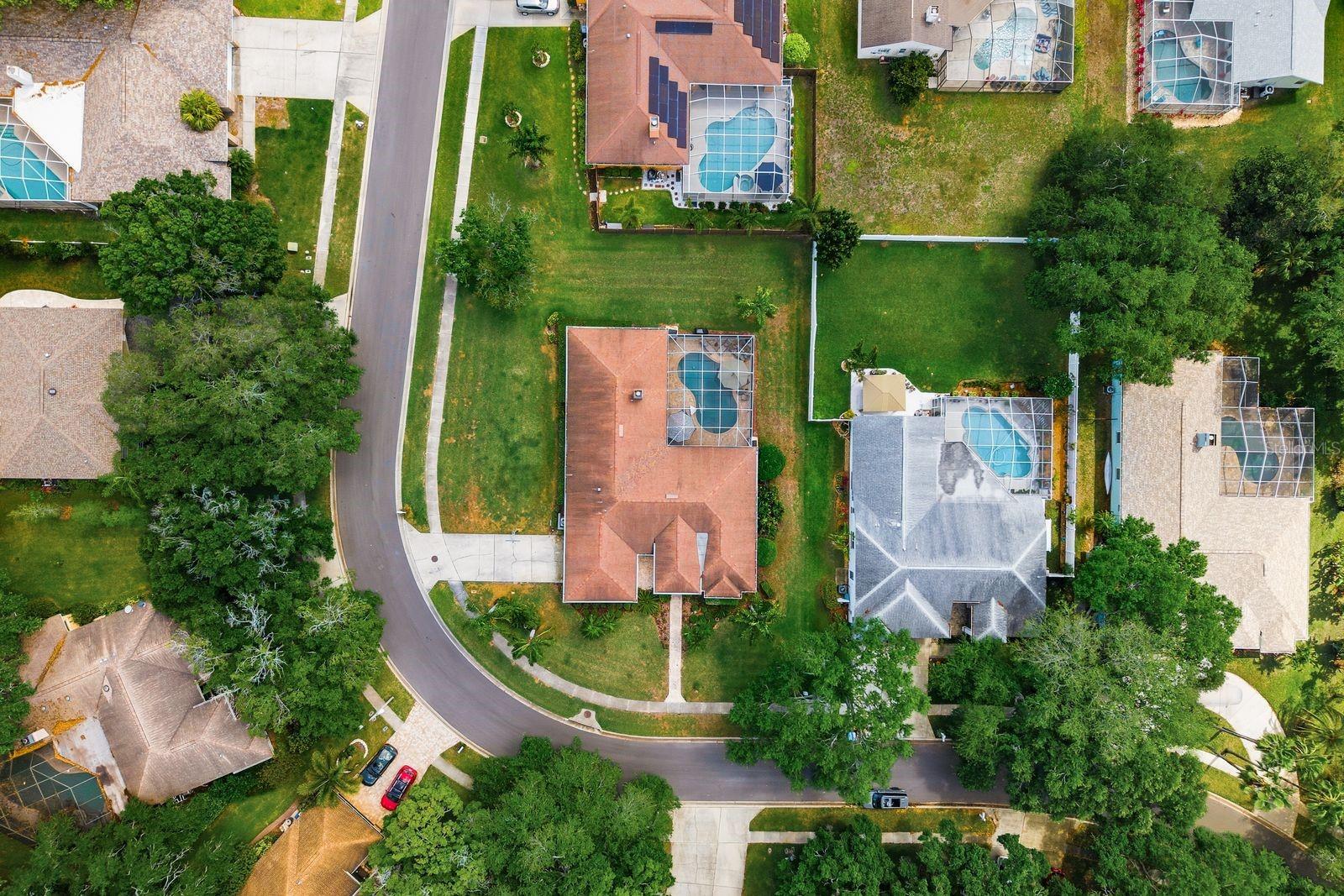 2016 SWAN LN, PALM HARBOR, FL, 34683