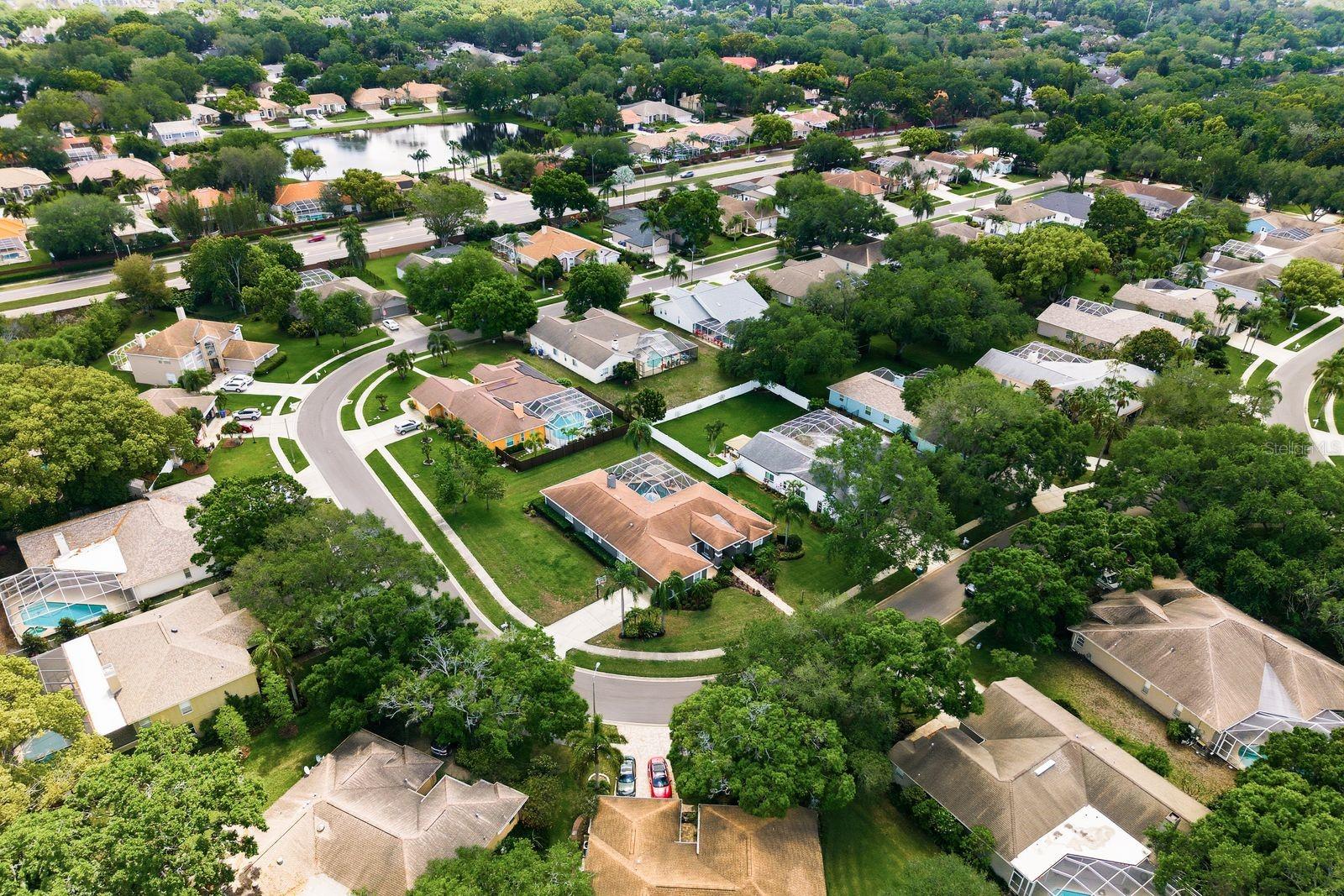 2016 SWAN LN, PALM HARBOR, FL, 34683