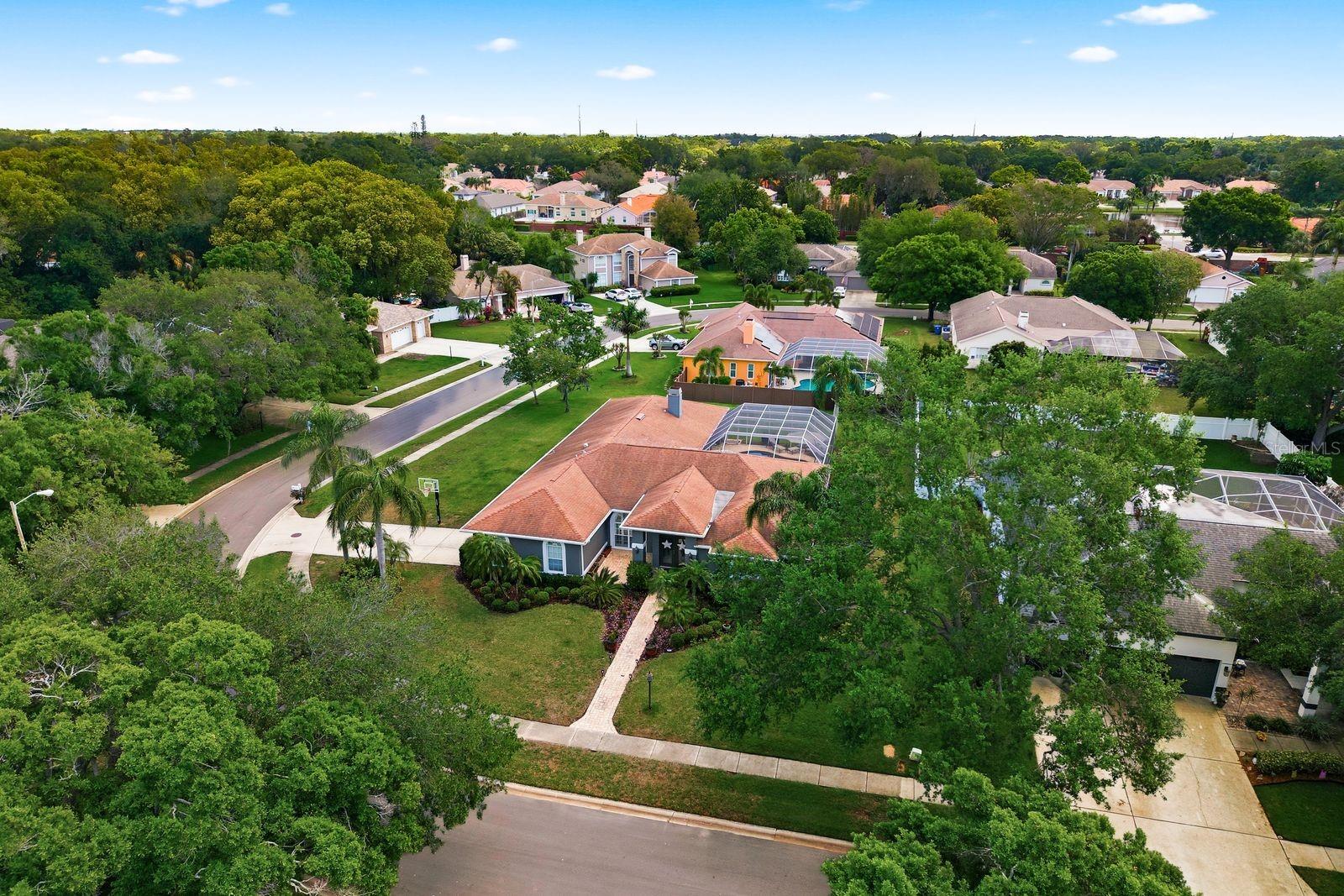 2016 SWAN LN, PALM HARBOR, FL, 34683