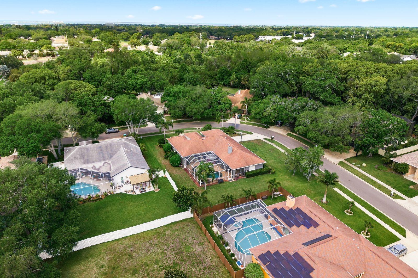 2016 SWAN LN, PALM HARBOR, FL, 34683