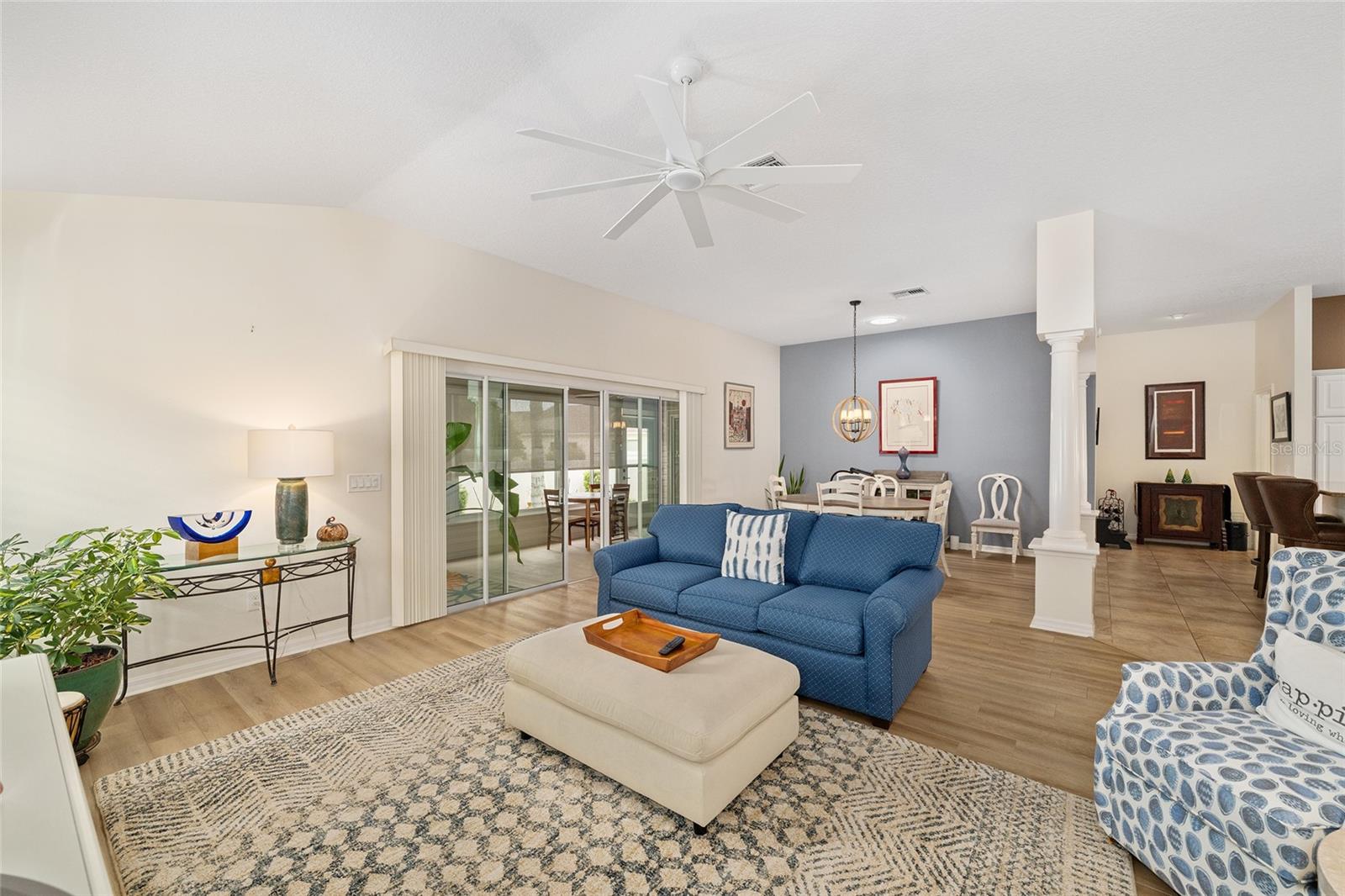 1656 HOLLOW BRANCH WAY, THE VILLAGES, FL, 32162