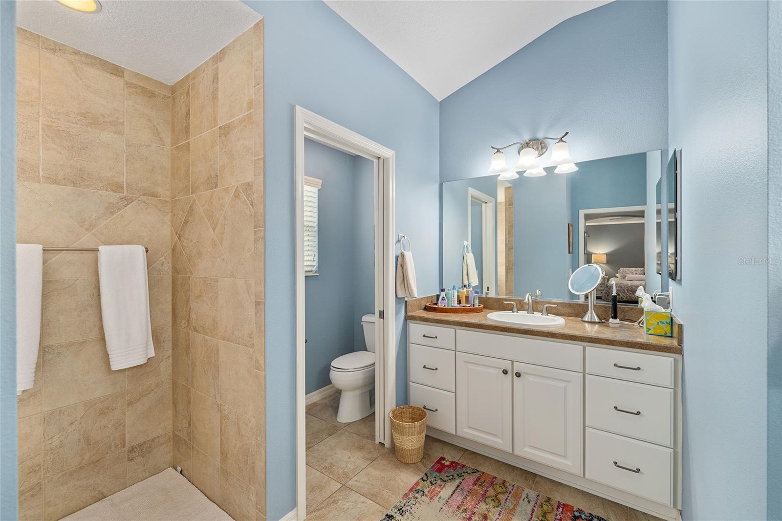 1656 HOLLOW BRANCH WAY, THE VILLAGES, FL, 32162