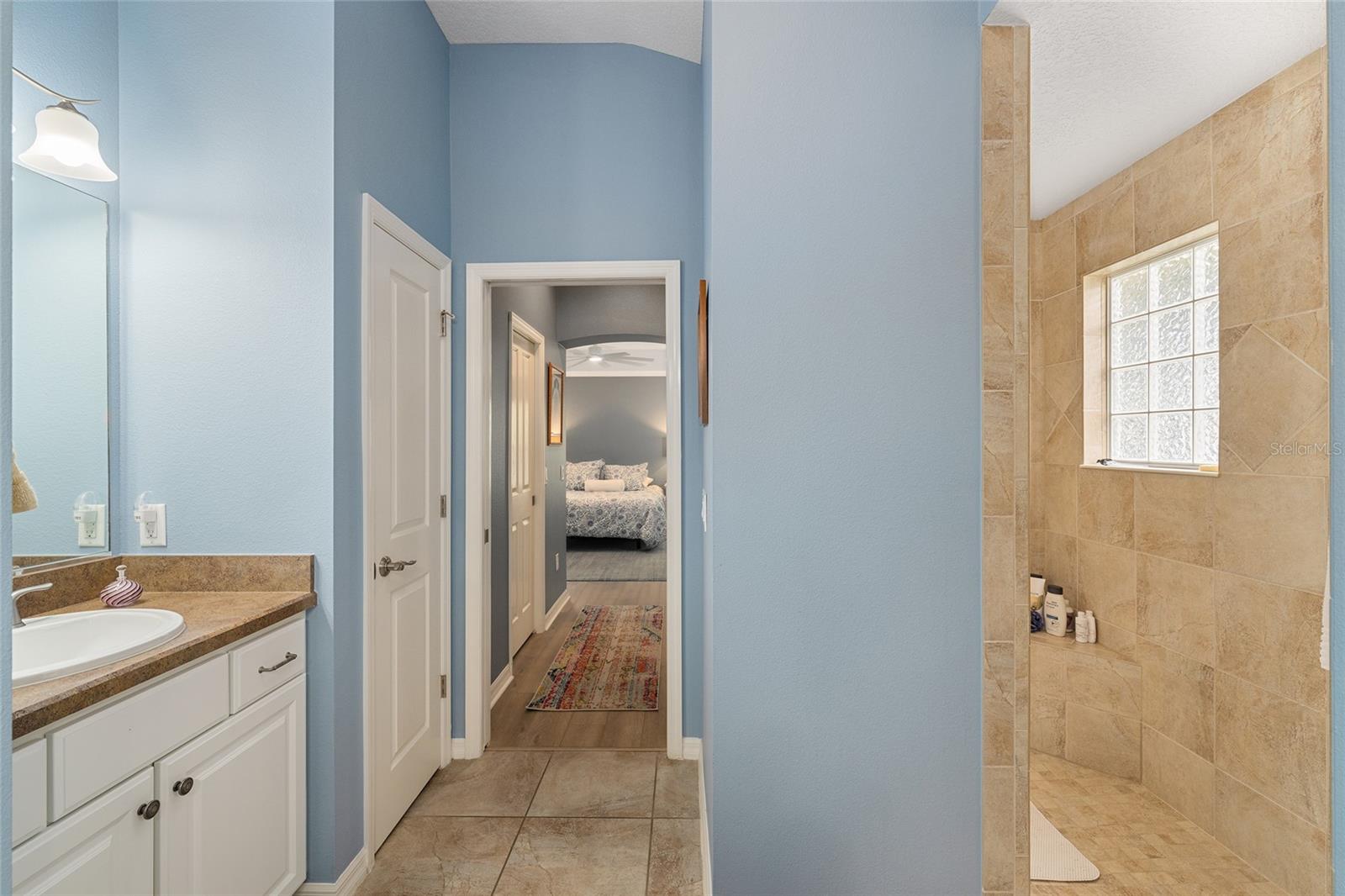 1656 HOLLOW BRANCH WAY, THE VILLAGES, FL, 32162