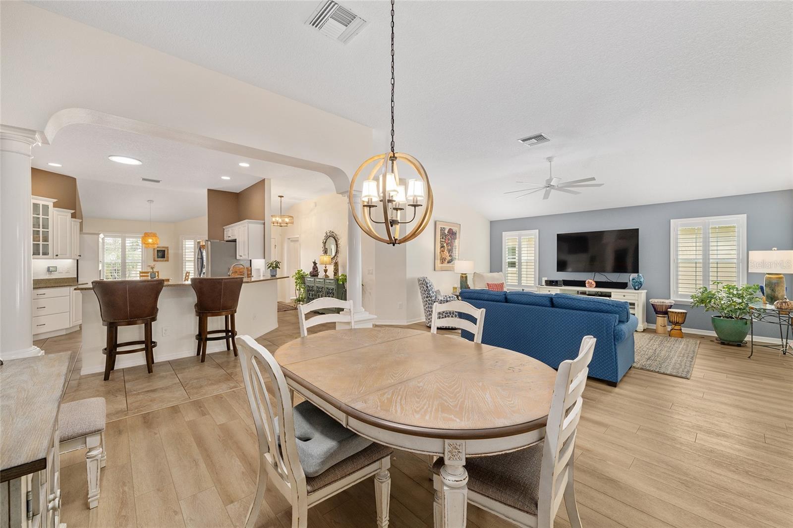 1656 HOLLOW BRANCH WAY, THE VILLAGES, FL, 32162