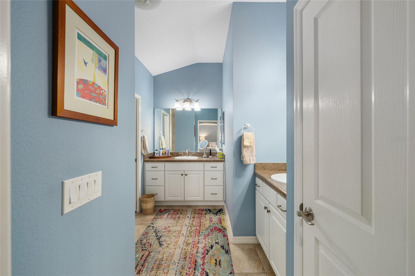 1656 HOLLOW BRANCH WAY, THE VILLAGES, FL, 32162