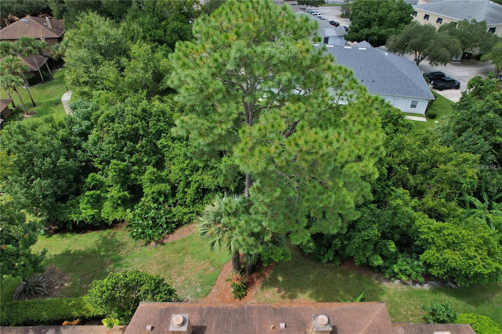 112 HERON BAY CIR, LAKE MARY, FL, 32746