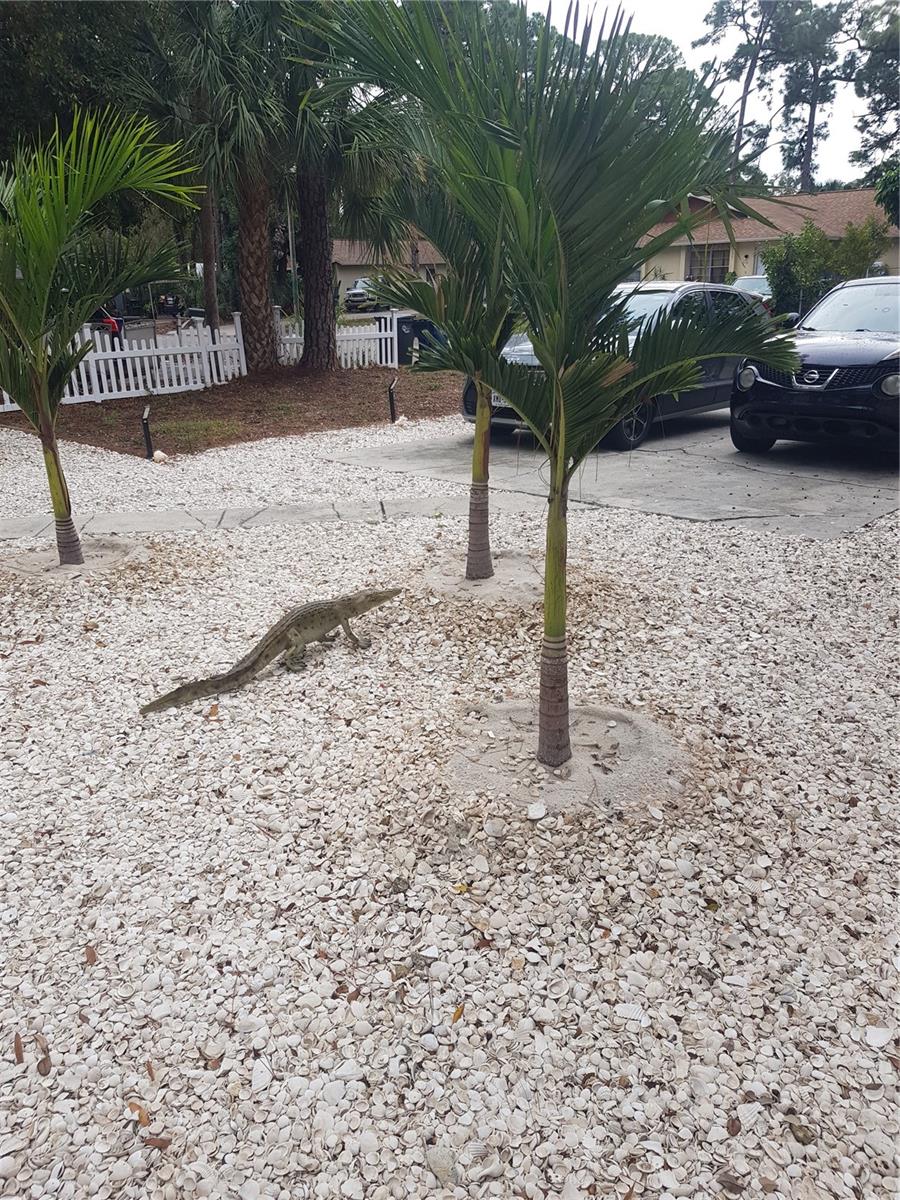 311 58TH AVE E, BRADENTON, FL, 34203