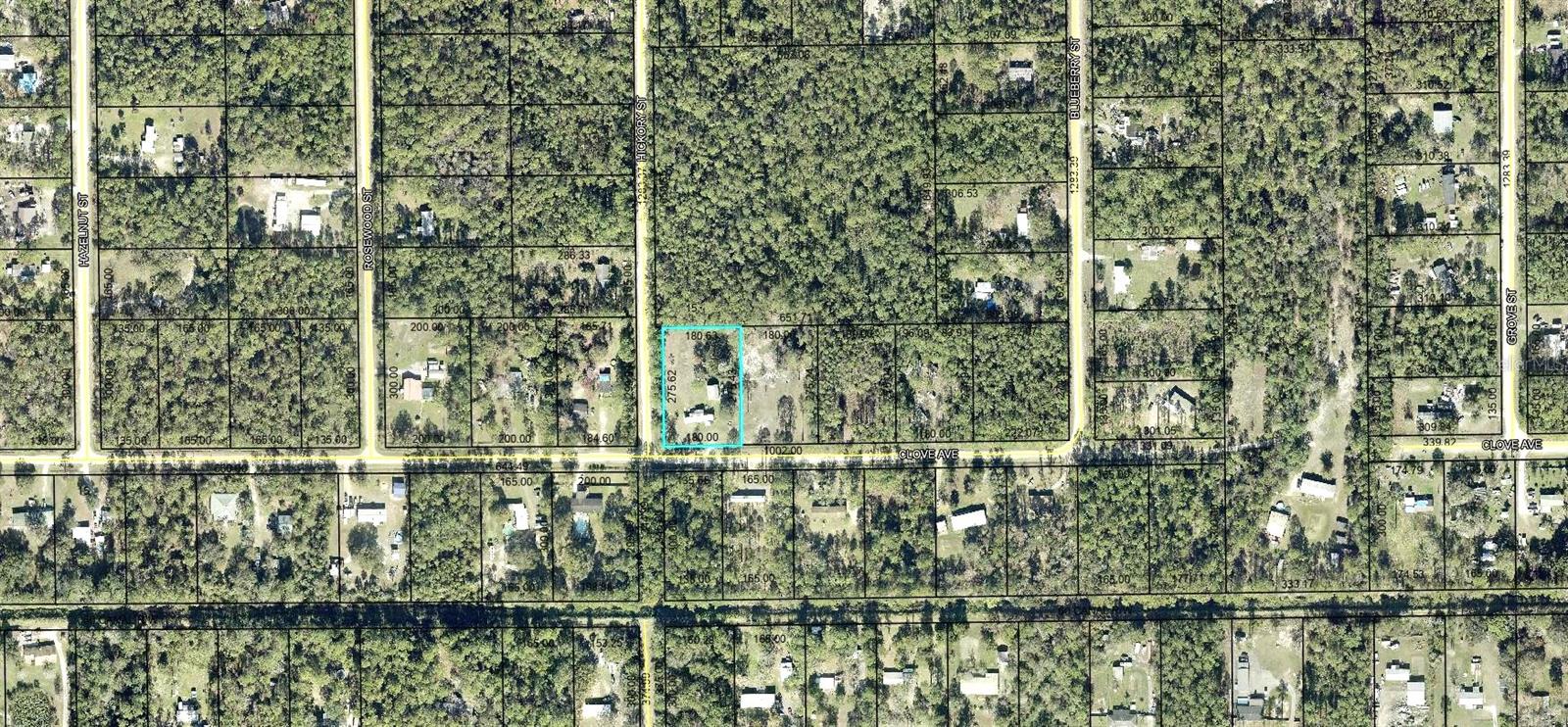 4442 CLOVE AVE, BUNNELL, FL, 32110