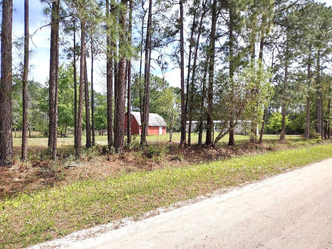 4442 CLOVE AVE, BUNNELL, FL, 32110