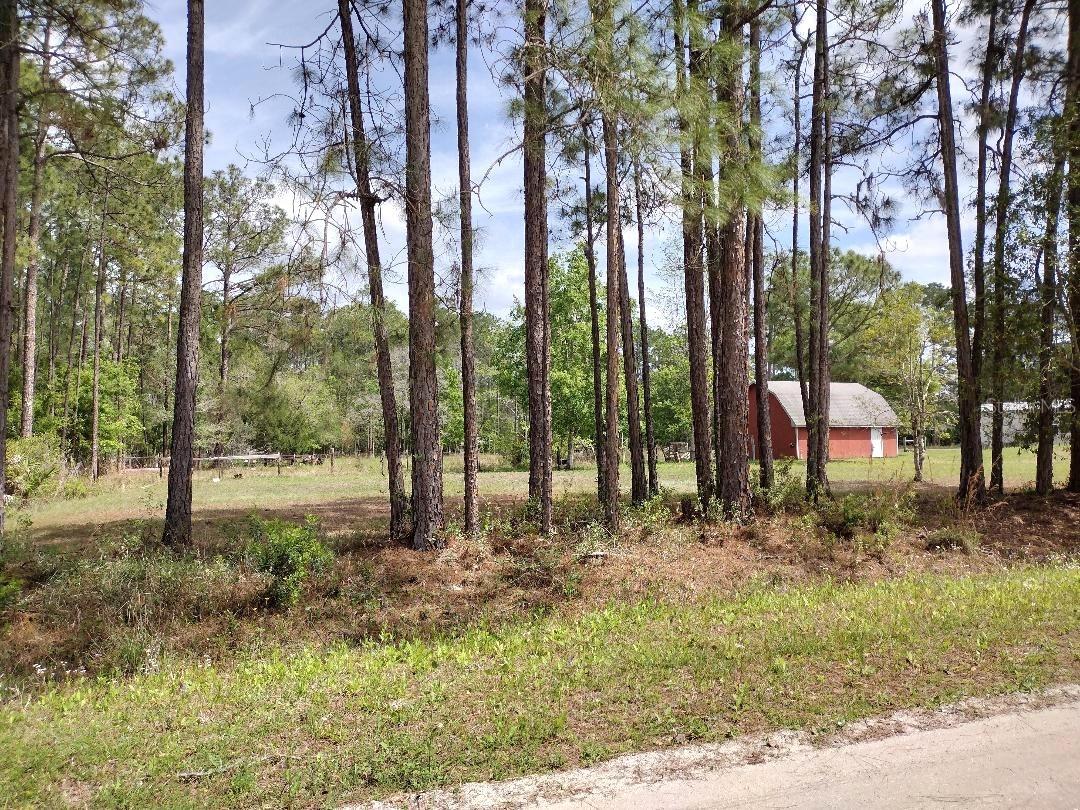 4442 CLOVE AVE, BUNNELL, FL, 32110
