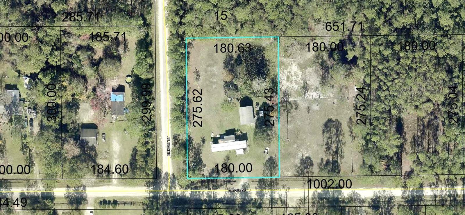 4442 CLOVE AVE, BUNNELL, FL, 32110
