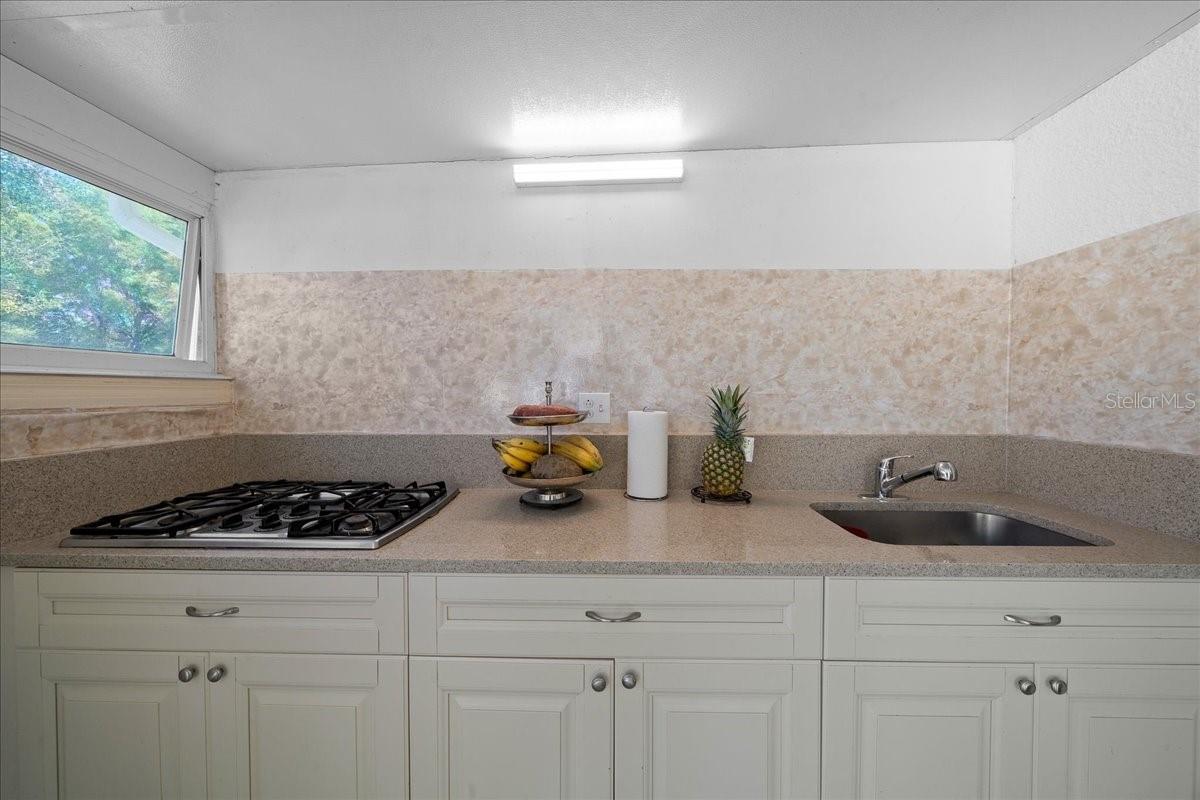 13789 SW 102ND PL, DUNNELLON, FL, 34432