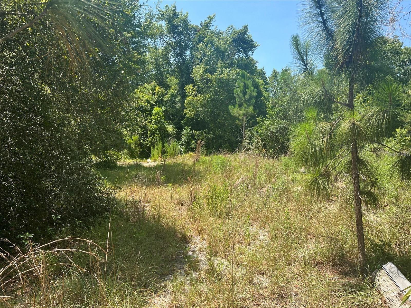 40314 LIME ST, EUSTIS, FL, 32736