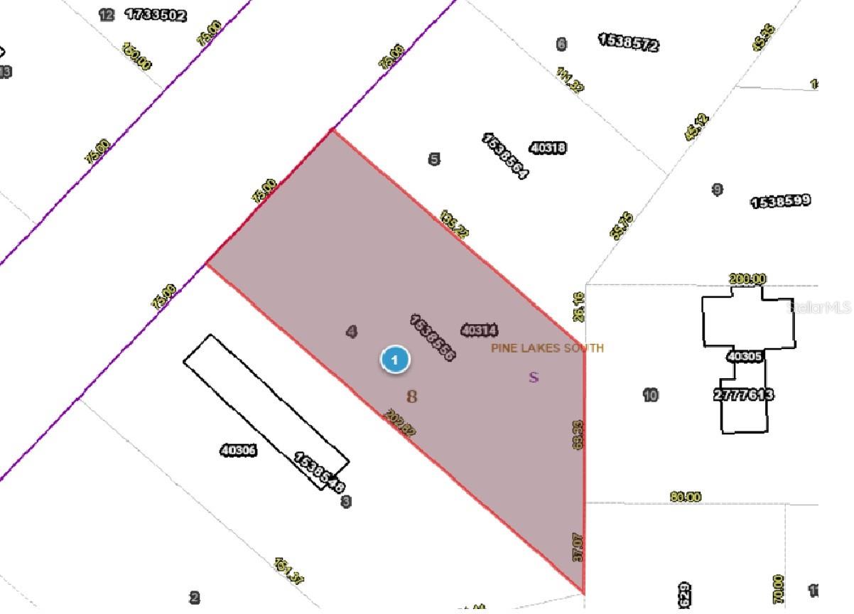 40314 LIME ST, EUSTIS, FL, 32736