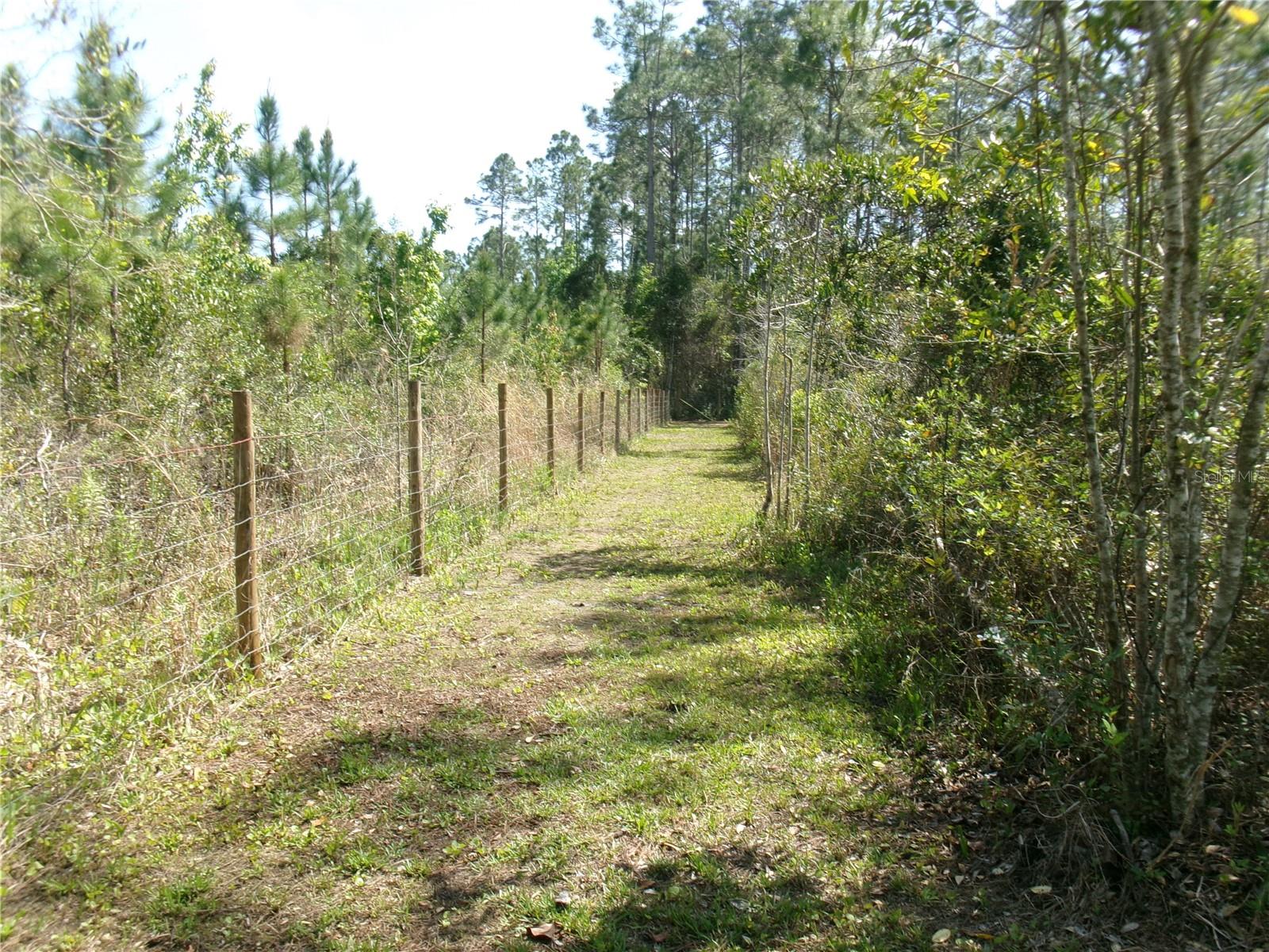 10220 CROTTY AVE, HASTINGS, FL, 32145
