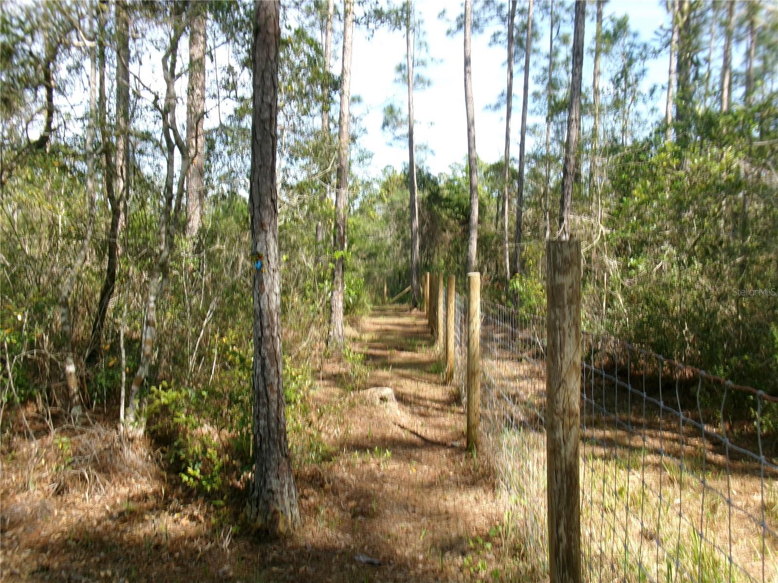 10220 CROTTY AVE, HASTINGS, FL, 32145