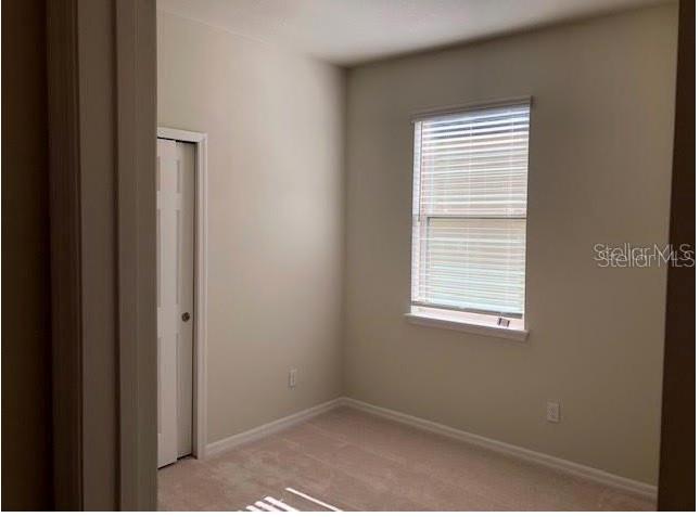 17513 BUTTERFLY PEA CT, CLERMONT, FL, 34714