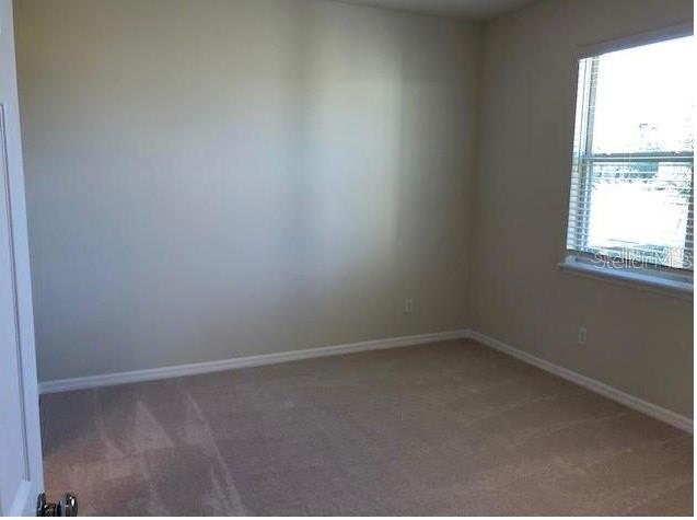 17513 BUTTERFLY PEA CT, CLERMONT, FL, 34714