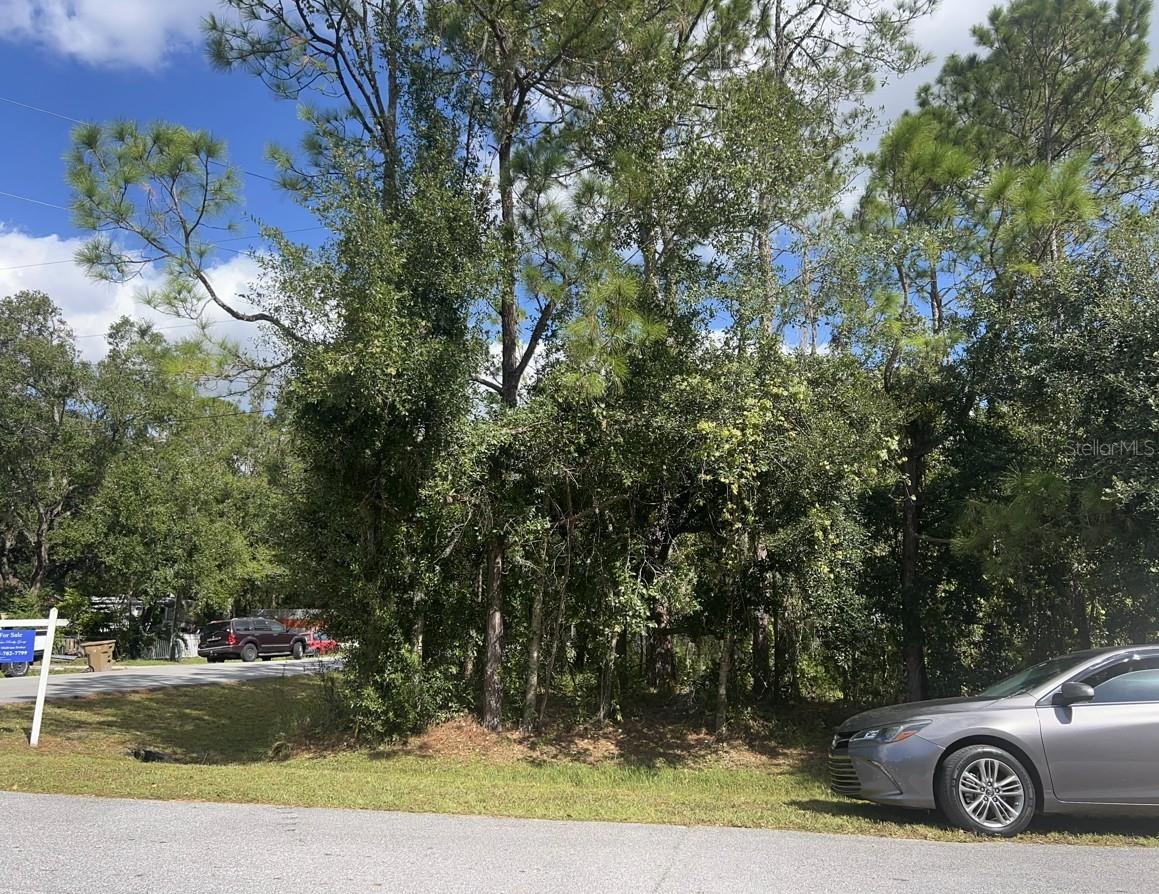 WAUCHULA ST, INTERCESSION CITY, FL, 33848