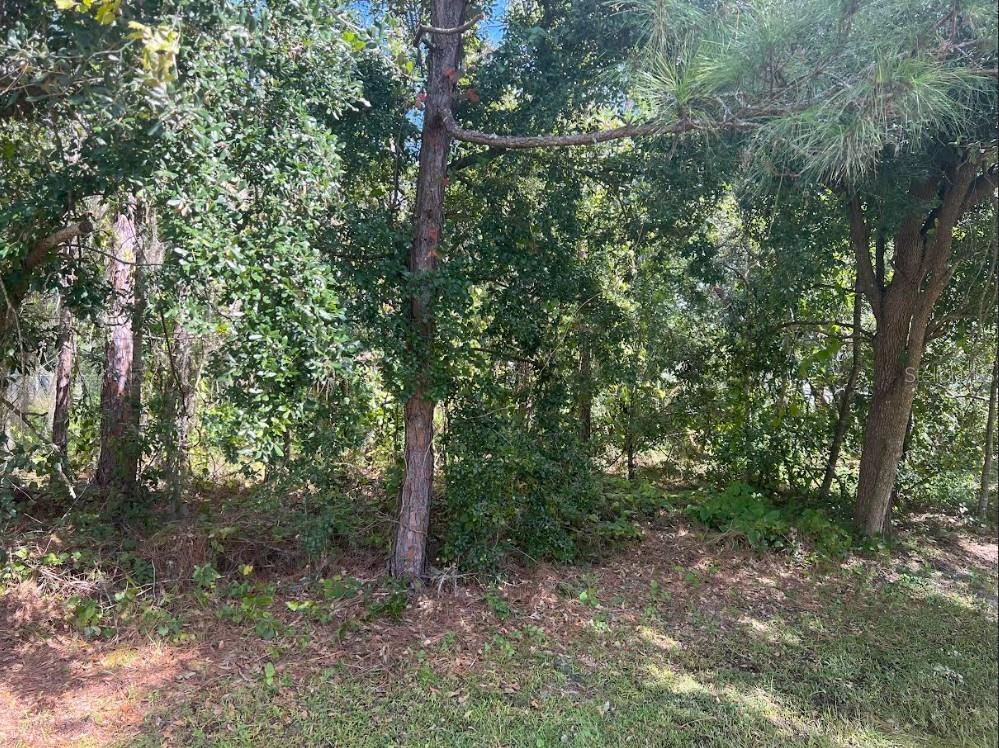 WAUCHULA ST, INTERCESSION CITY, FL, 33848
