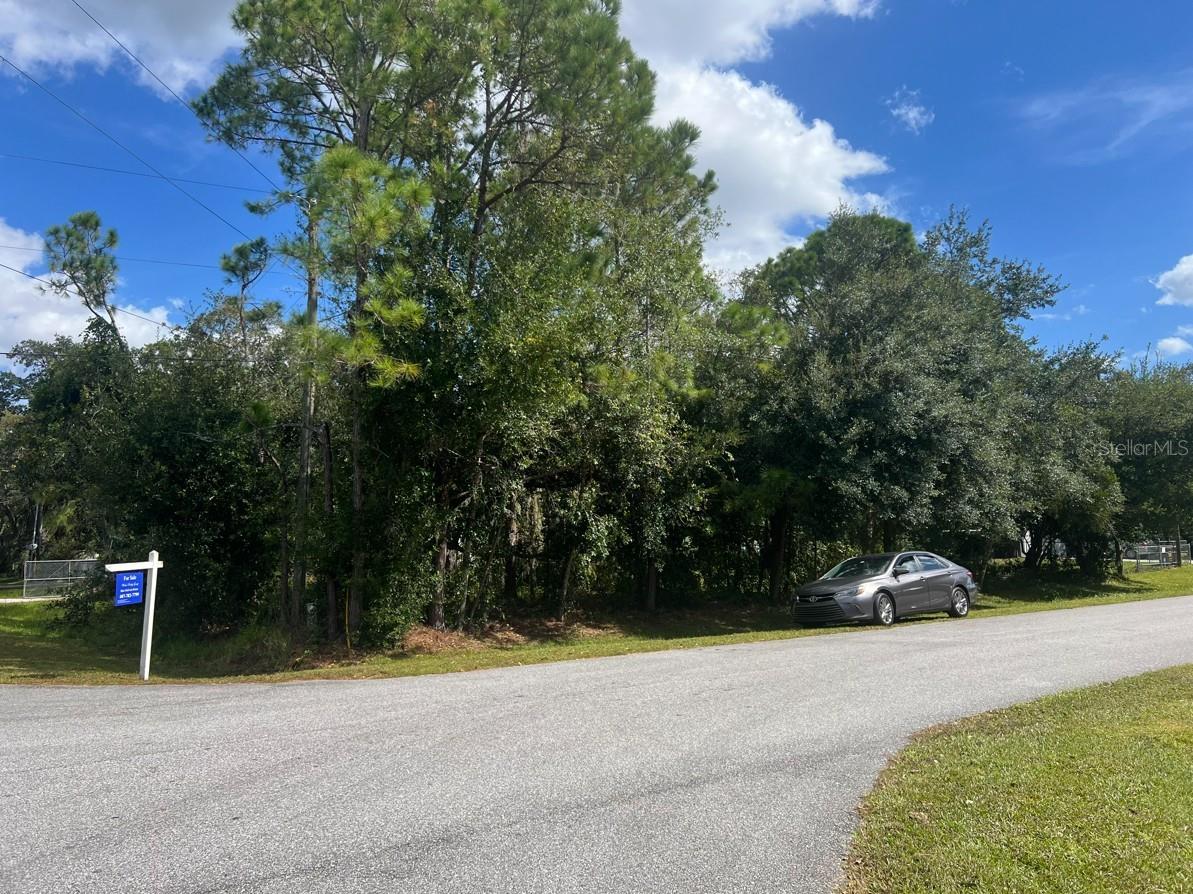 WAUCHULA ST, INTERCESSION CITY, FL, 33848