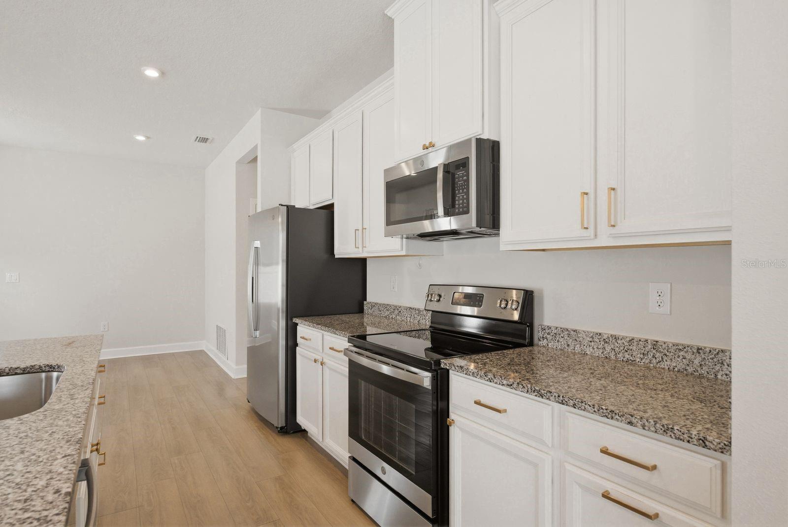 19056 HEAVENSIDE CT, SPRING HILL, FL, 34610