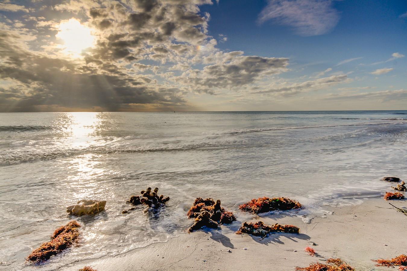 317 12TH AVE, INDIAN ROCKS BEACH, FL, 33785