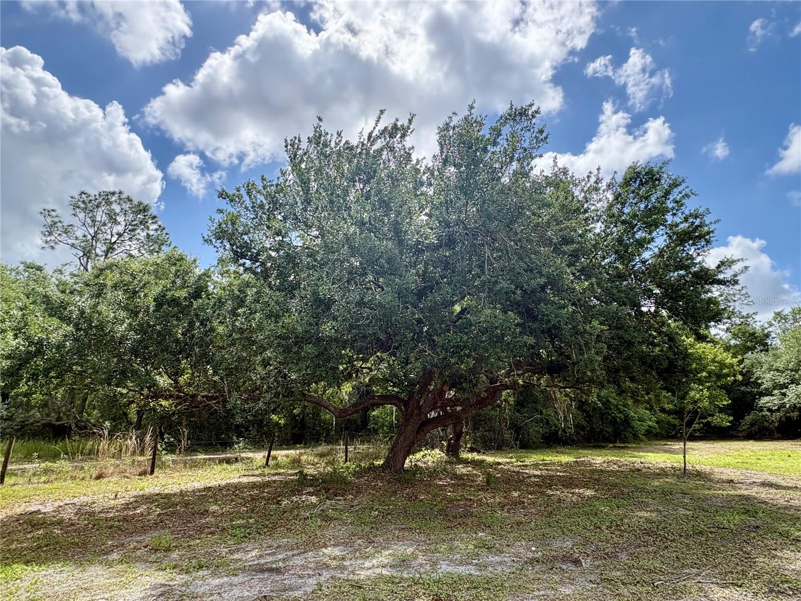 15580 COUNTY ROAD 675, PARRISH, FL, 34219