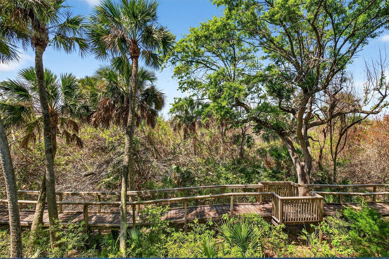 5300 S ATLANTIC AVE #9-204, NEW SMYRNA BEACH, FL, 32169