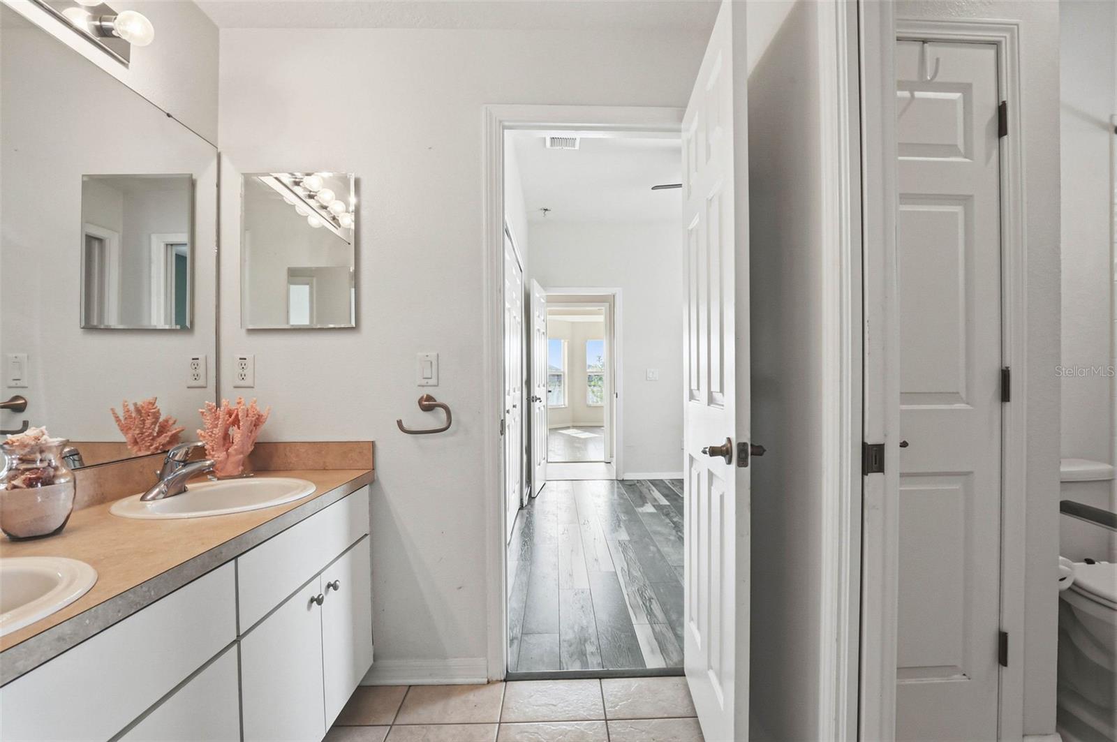 13706 ARTESA BELL DR, RIVERVIEW, FL, 33579