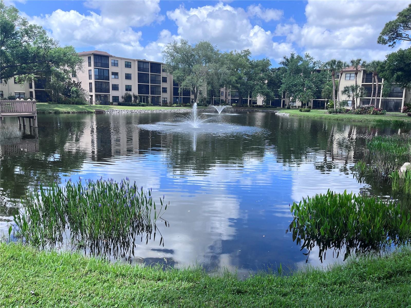 315 30TH AVE W #B203, BRADENTON, FL, 34205