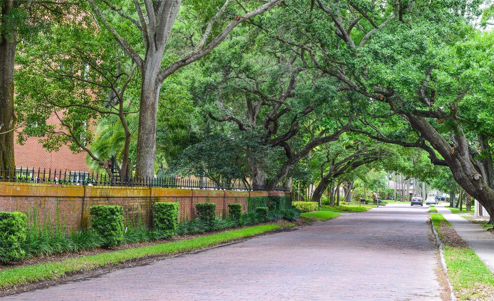 5121 S NICHOL ST, TAMPA, FL, 33611