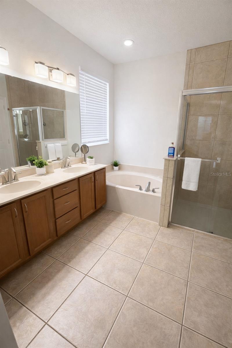 9703 OLD PATINA WAY, ORLANDO, FL, 32832