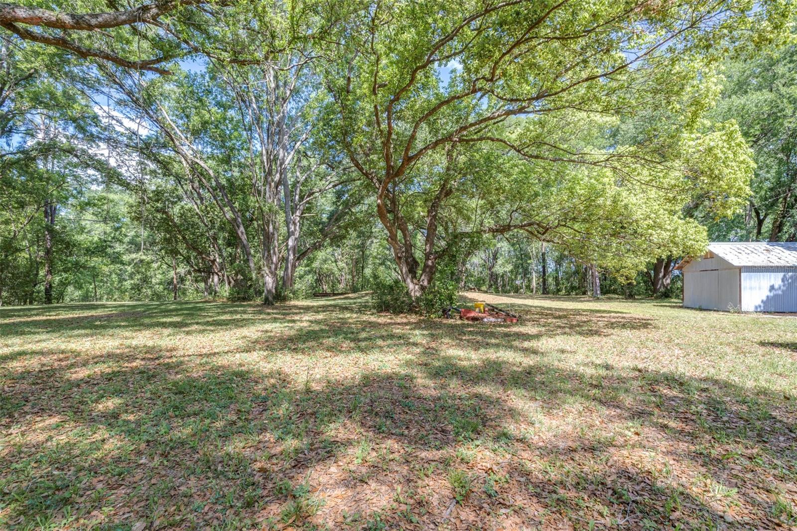 28616 TUPPER RD, WESLEY CHAPEL, FL, 33545