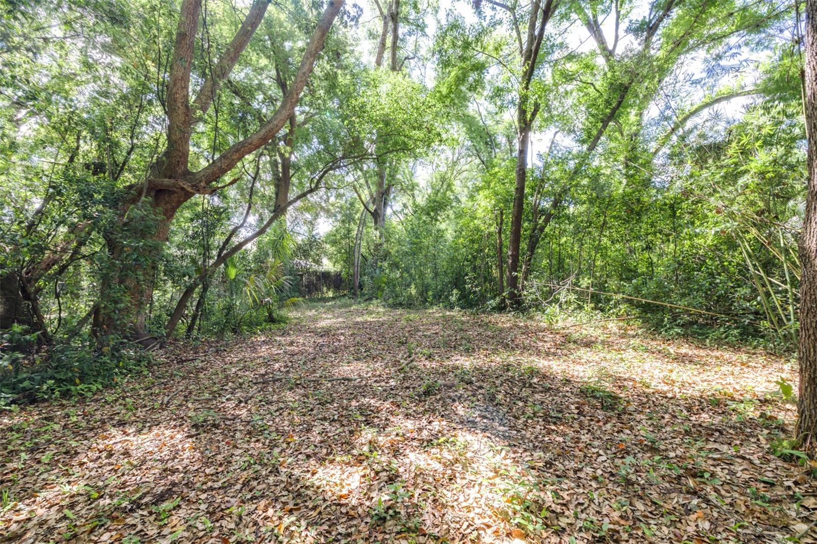 28616 TUPPER RD, WESLEY CHAPEL, FL, 33545