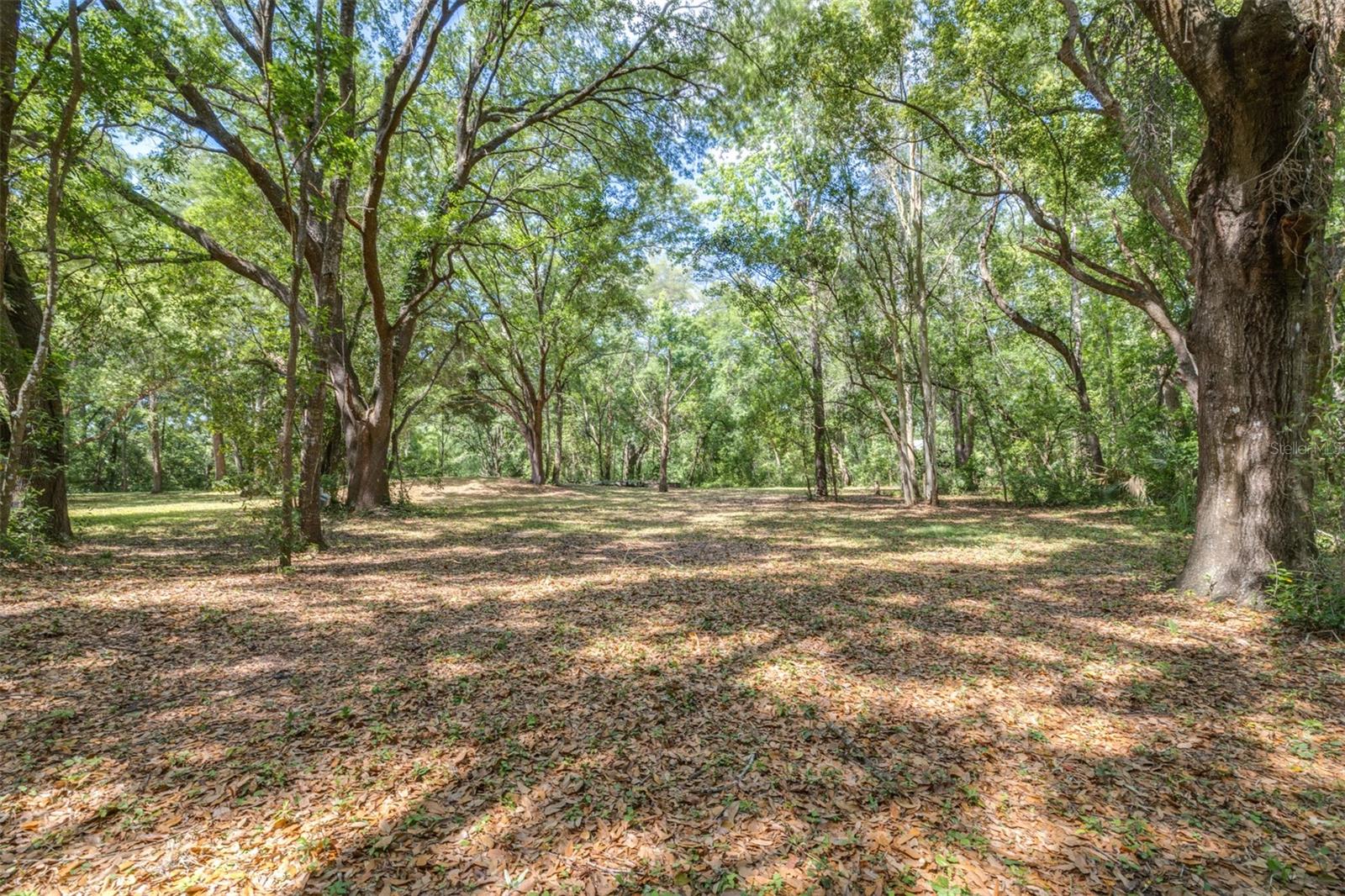 28616 TUPPER RD, WESLEY CHAPEL, FL, 33545