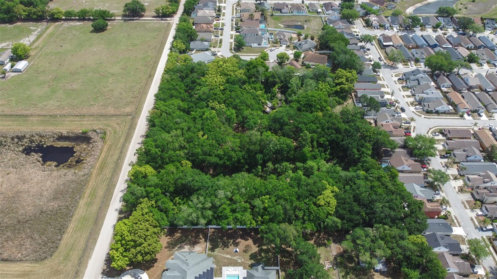 28616 TUPPER RD, WESLEY CHAPEL, FL, 33545